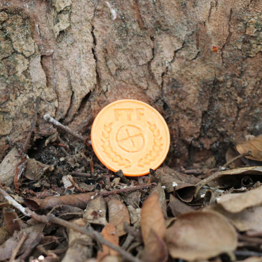 2.5" + Small Cutouts, Ant. Gold Colour FTF Details about   First to Find Geocoin Geomedal 